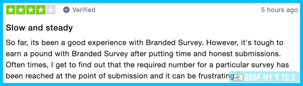 A real Branded Surveys review left on TrustPilot.com
