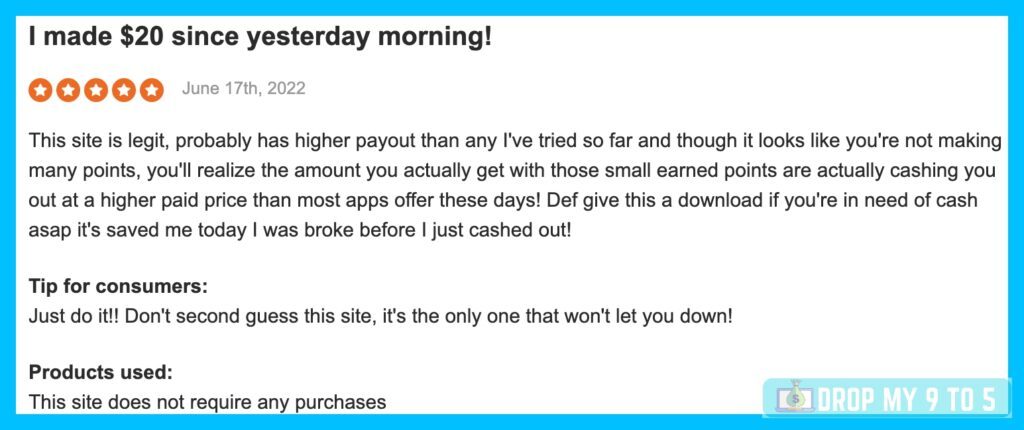 An image of a user review by a member of Branded Surveys